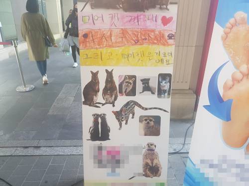 서울의 한 번화가에 위치한 야생동물 카페