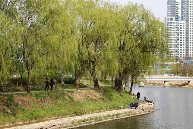 반포한강공원 앞의 인공섬 서래섬. 이병학 선임기자
