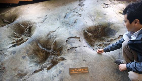 해남 우항리 공룡화석지 내 실제 공룡 발자국 앞에서 학예사가 학술적 가치를 설명하고 있다. 프리랜서 장정필