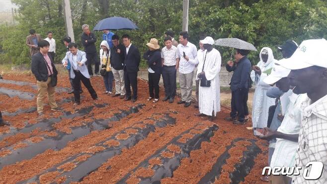 베트남과 세네갈 농업지도자 20여명이 땅콩재배 기술을 배우기 위해 2~3일까지 이틀간 전북 고창을 방문했다. © News1