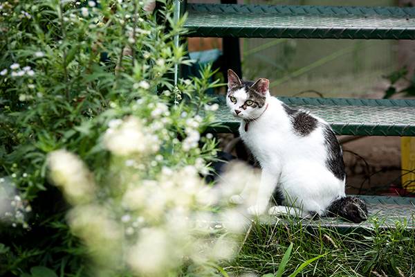 ⓒ시사IN 신선영