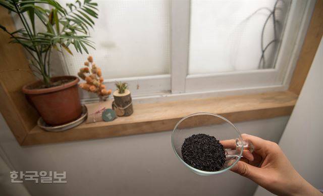 환경운동가인 고금숙씨는 15cm두께 단열벽을 환경호르몬이 나오지 않는 왕겨숯(훈탄ㆍ컵 속 검은 가루)으로 채우고 화분을 올려뒀다. 훈탄은 벼 도정 과정에서 버려지는 왕겨를 구워 만든 것으로 나주에서 직접 공수해왔다. 또 부엌과 화장실에는 한 번 쓴 물을 재활용하는 중수시설을 설치했다. 류효진기자