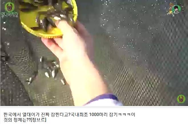 유튜브 정브르 영상 캡처