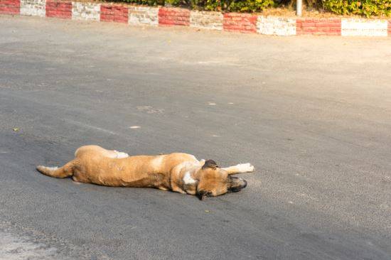 사진=게티이미지뱅크