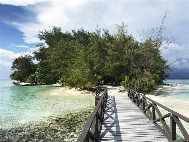 솔로몬의 리조트를 고를 땐 시설이 아니라 얼마나 친환경적인지를 기준으로 삼아야 한다.