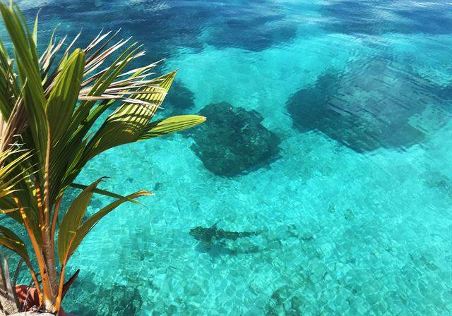 리조트 앞 투명한 바다.