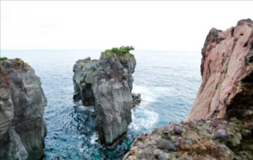 이즈반도 조가사키 해변의 해양공원.