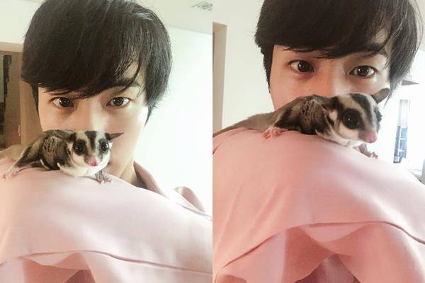 [Hi★뭐하세요?] 방탄소년단(Bts) 진, 애완 하늘다람쥐 '오뎅이'와 비주얼 투샷
