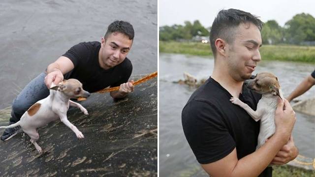홍수 취재 도중 물에 빠진 개 구한 美기자 화제
