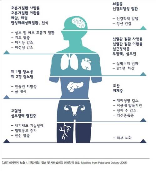 미세먼지 건강영향 [질병관리본부]