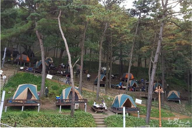 대전 뿌리공원 캠핑장. (사진=대전 중구 제공)
