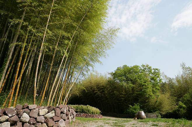 자연미가 고스란히 살아있는 대나무골테마공원 풍경. 호젓한 분위기에서 대숲의 운치를 만끽할 수 있다. ⓒ이돈삼