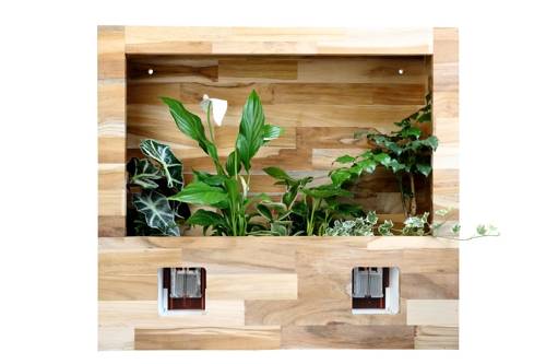 스스로 물 만드는 화분 [농촌진흥청 제공=연합뉴스]