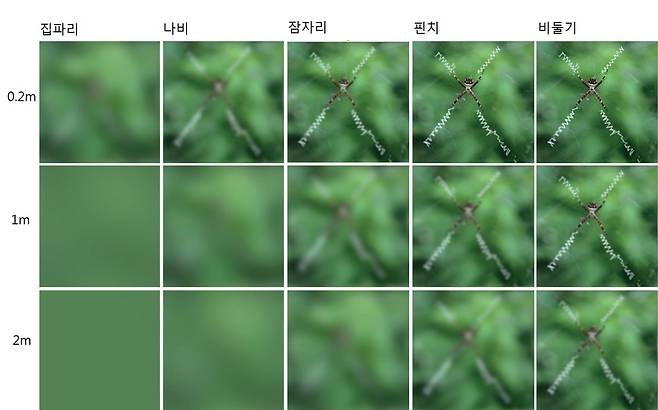 거리별로 여러 동물이 바라본 호랑거미 거미줄의 지그재그 무늬. 곤충에는 거의 보이지 않지만 새한테는 잘 보여 미리 보고 피할 수 있다. 케이브스 외 (2018) ‘생태학과 진화 동향’ 제공.