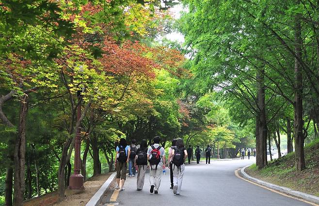 시민들이 대전 둘레길 보문산 순환로 구간을 걷고 있다. 대전시 제공
