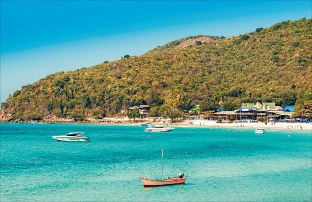 태국 파타야 산호섬 참좋은여행 제공