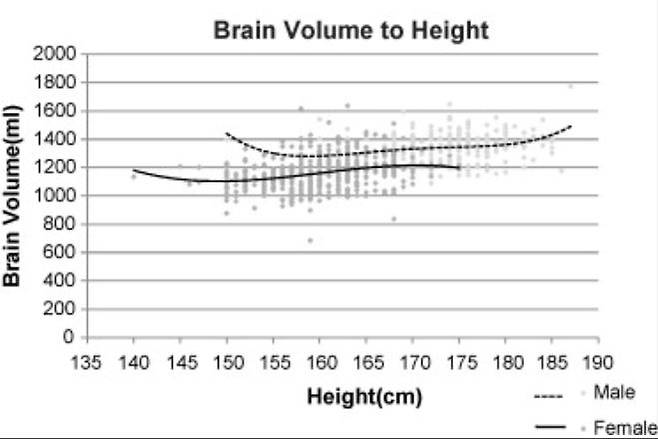 뇌용량과 키의 관계를 보여주는 그래프. 키가 클수록 뇌용량도 커지지만 증가폭은 미미하다. 반면 모든 키의 범위에서 키가 같을 경우 여성의 평균 뇌용량이 남성보다 작다. 18~22세 이란 여성 452명, 남성 320명의 측정 결과다. 여성 평균은 1163cc로 남성 평균 1343cc보다 14% 작아 다른 데이터보다 차이가 다소 나는 편이다. 뇌용량이 1000cc(ml)에 못 미치는 여성이 몇 명 보인다. 남녀 모두 좌우 말단의 그래프 곡선은 사람 수가 적어 통계적으로 의미가 없다. - ‘임상 신경학 및 신경외과’ 제공