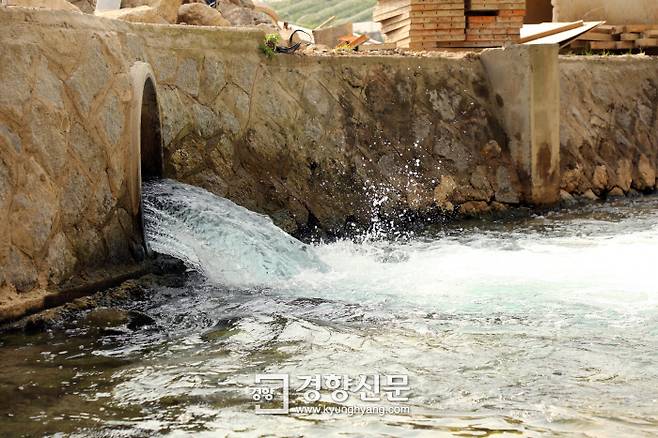 인근 SK하이닉스단지에서 나오는 냉각수가 죽당천으로 흘러들어가고 있다. 권도현 기자