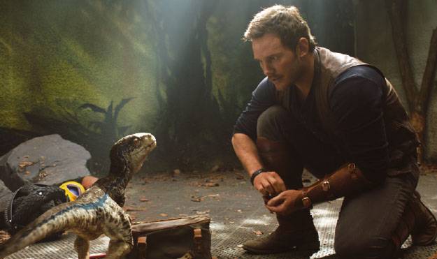 영화 ‘쥬라기 월드’에서 오웬 그래디(배우 크리스 프랫)는 수신호와 언어로 벨로시랩터를 다룰 수 있다. 벨로시랩터 유전자를 가진 인도랩터도 과연 그의 수신호를 따라 움직일까. 실제 벨로시랩터도 영화에서처럼 영리했을까. - UPI 코리아