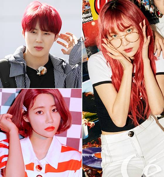 왼쪽부터 시계방향으로 그룹 워너원 하성운, EXID 하니, AOA 혜정/사진=머니투데이 DB, 쎄씨, AOA 공식 인스타그램