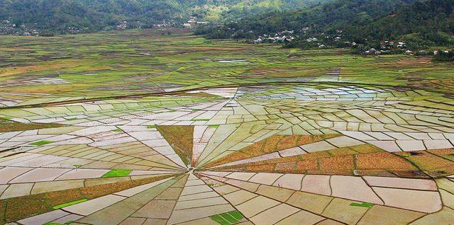 짠짜르 마을의 거미줄 논.