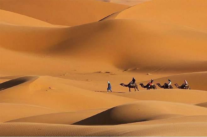 누구나 한 번 쯤은 꿈꿔온 사막에서의 하룻밤. 뜨거운 낮이 지나고 별이 쏟아지는 사하라의 밤은 낭만 그 자체다. (사진=인도로가는길 제공)
