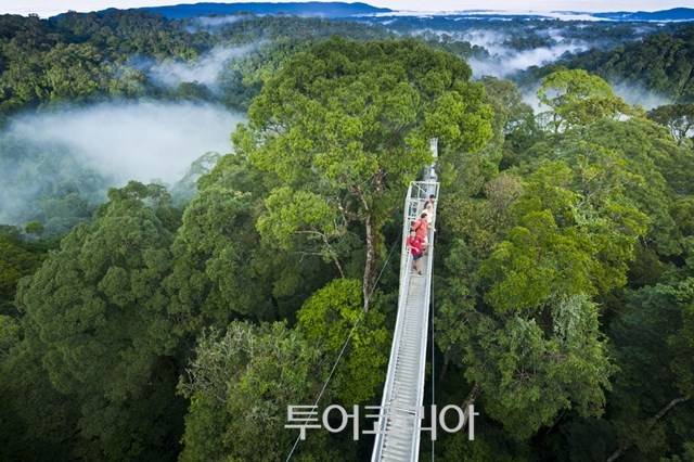 ▲ 울루 템부롱 국립공원