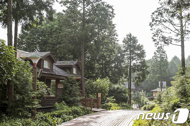 편백숲 우드랜드(한국관광공사 제공)/뉴스1 © News1