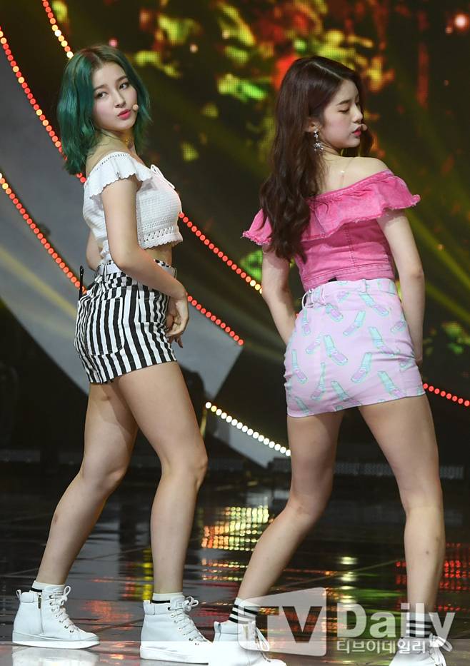 티브이데일리 포토