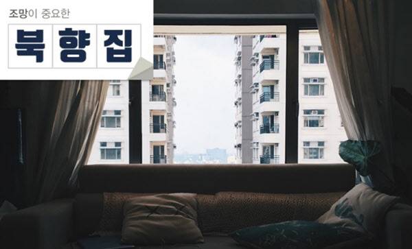 안정적인 일조량으로 집중력을 높여주는 북향집. /클립아트코리아