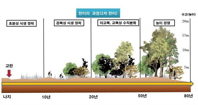 천이의 과정. 국립생태원 제공