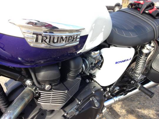 반짝반짝 빛나는 트라이엄프 로고