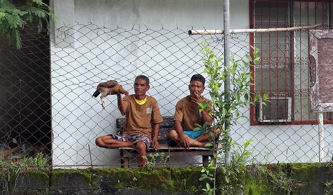 한 죄수가 팔라완 이와힉 개방형 교도소에서 자신이 키우는 닭을 보여주고 있다. 변선구 기자