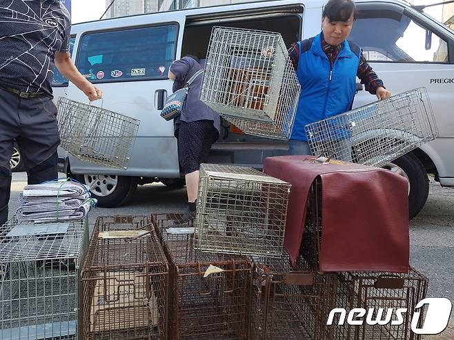 자원봉사자들이 동물병원과 임시동물보호소에서 빌려온 통덫을 꺼내고 있다.© News1 조아현 기자