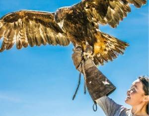 서몽골지역의 독수리를 이용해 사냥하는 모습.