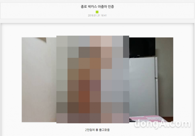 일간베스트 캡처.