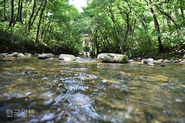 햇볕이 들지 않을 정도로 서늘한 용수골계곡