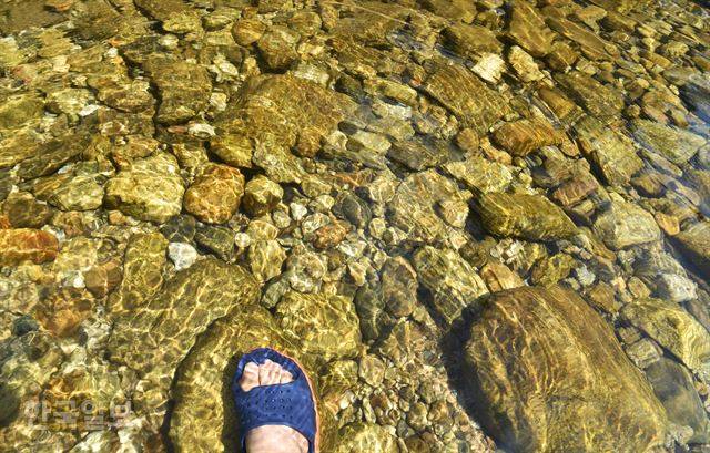 계곡물은 깊이가 적당해 안심하고 물놀이를 즐길 수 있다.