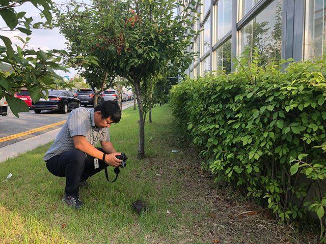 김영준 국립생태원 동물병원 부장이 대전 반석동 방음벽에 부딪혀 죽은 채 발견된 조류 사체를 카메라에 담고 있다. 국립생태원 제공.
