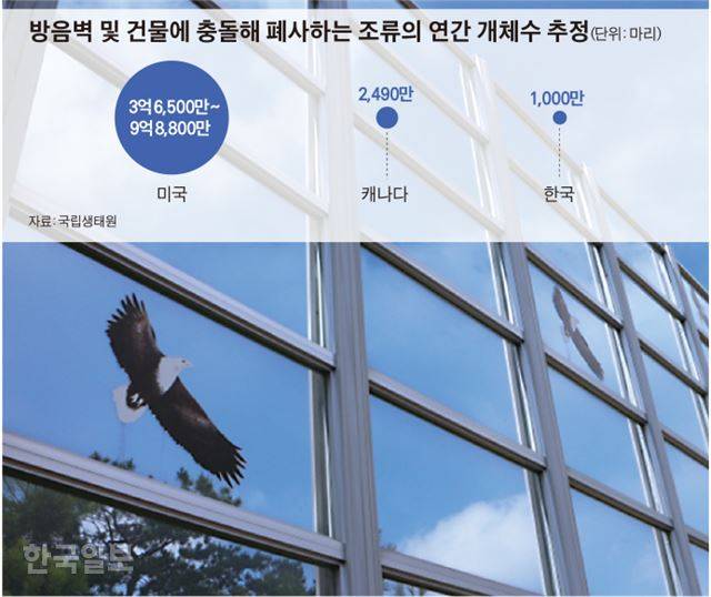 [저작권 한국일보]방음벽 및 건물에 충돌해 폐사하는 조류의 연간 개체수 추정_김경진기자