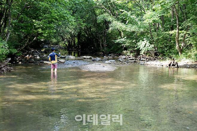 강원도 평창 청옥산 중턱에 숨어 있는 회동계공은 길이 총 8km로 곳곳에 크고 작은 소가 폭포가 어울려 운치를 자아낸다. 사람들의 때가 덜 묻어 오지에 왔다는 생각이 절로 들 정도다. 한여름에도 햇살이 들어오지 않을 만큼 빽빽한 천연림 터널을 갖추고 있어서다.