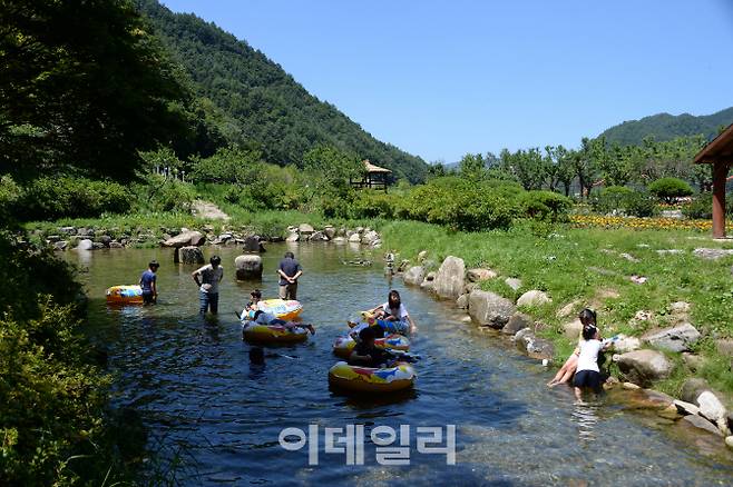 국내 최고 족욕 피서지인 강원도 평창의 ‘땀띠물’