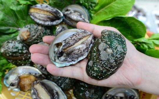 여름철 보양식으로 자리 잡으며 요즘 출하량이 부쩍 늘고 있는 전복. 신선한 전복에서는 ‘바다 향기’를 간직한 다시마 맛이 난다.  신창섭 기자 bluesky@