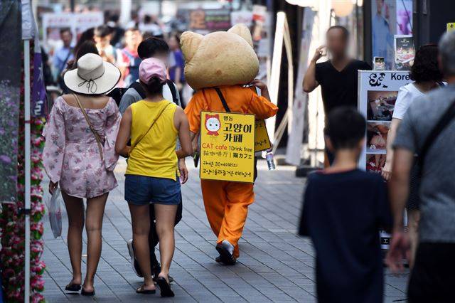 111년만에 최강폭염이 찾아온  서울 명동거리에서 큼직한 인형 탈을 쓴 이가 고양이 카페를 홍보하고 있다.