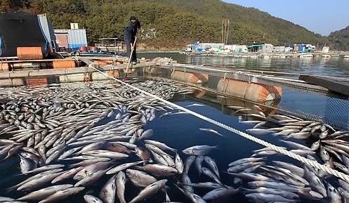 [사진=연합뉴스]