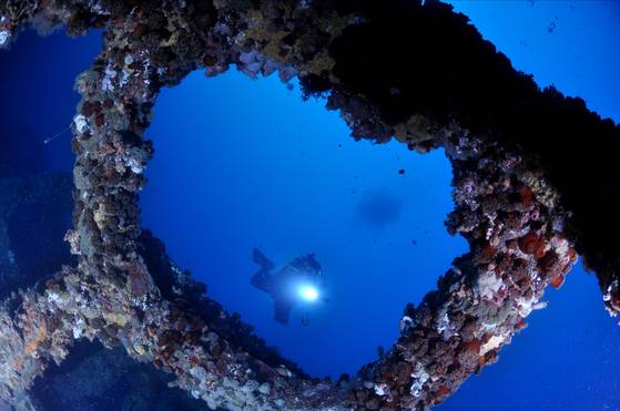 강릉 앞바다에는 다양한 형태의 인공 어초가 많다. 해양 생태계를 위해 수십년 전부터 강릉시에서 투하한 것인데 말미잘, 산호 등이 들러붙어 산다. [사진 오형근]