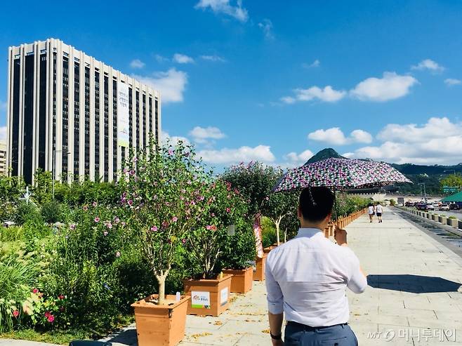 꽃무늬 양산을 들고 광화문광장을 걷고 있는 기자. 양산이 다소 작았지만 더위를 피하기엔 충분했다. 후배 기자에게 음료 한 잔을 사준 뒤 사진을 찍도록 시켰다. /사진=남궁민 기자