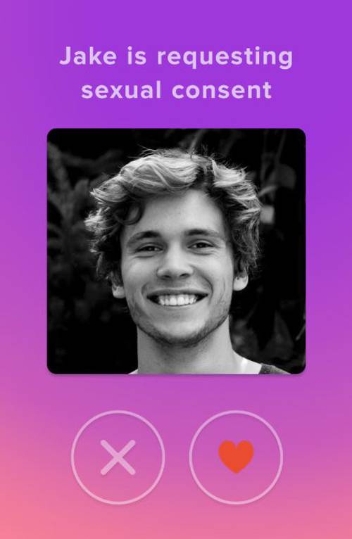 네덜란드 업체가 개발한 성관계 동의 앱 ‘리걸플링’ 화면.