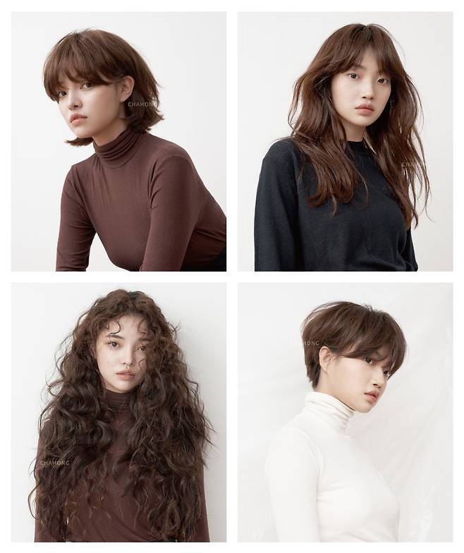 상단 왼쪽부터 시계방향 바그펌, 미스티펌, 듀컷, 포그펌  © News1