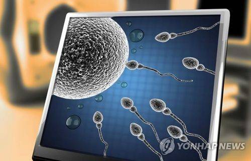 정자 난자 [게티이미지뱅크 제공]